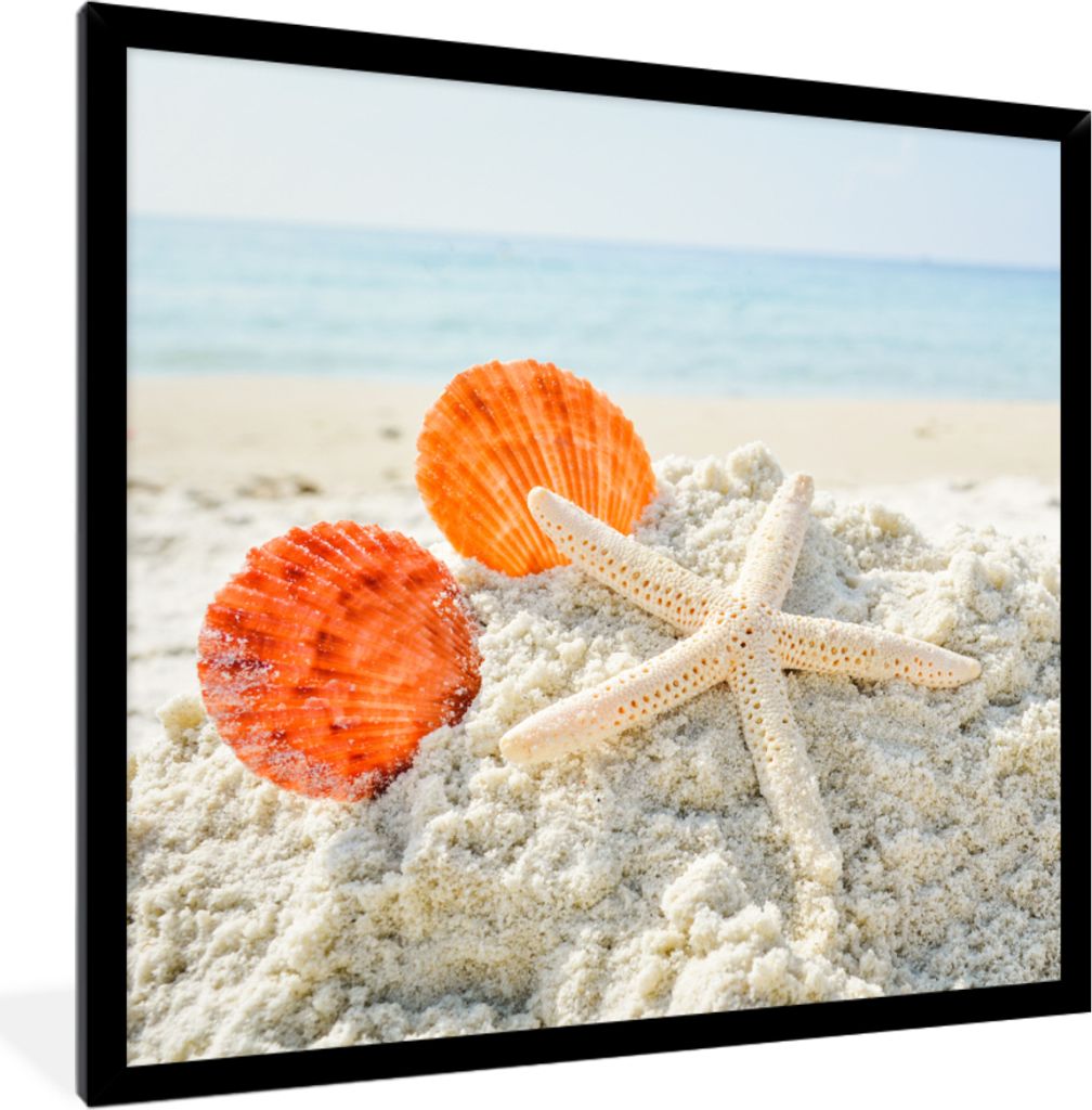 MuchoWow MuchoWow Gerahmtes Poster Strand - Muscheln - Seesterne 40x40 cm - Poster mit zchwarzem Bilderrahmen - Mit Rahmen - Wanddekoration Sch...