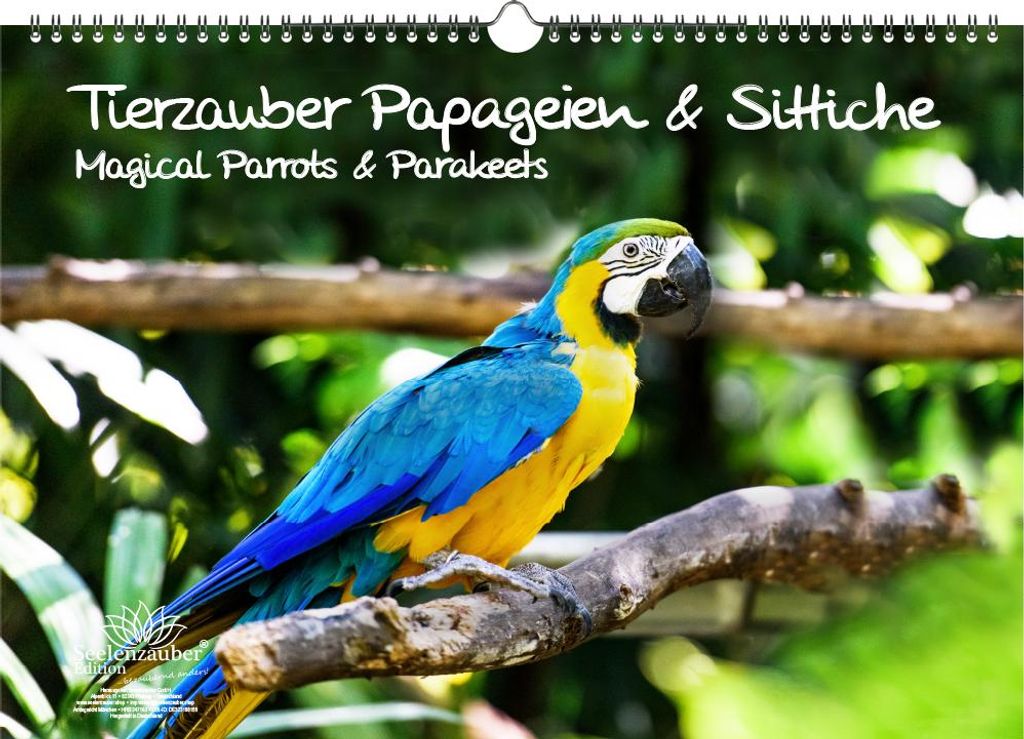 Tierzauber Papageien und Sittiche DIN A3 Immerwährender Kalender - Seelenzauber