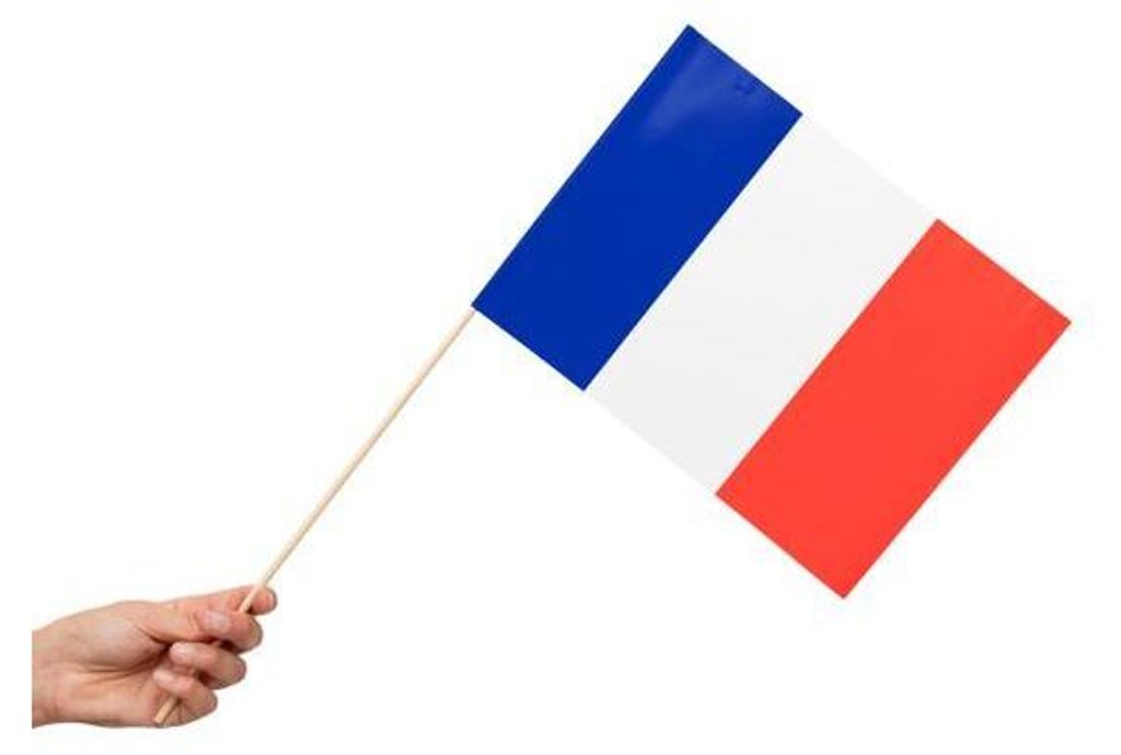 10 Papier Fahnen Frankreich 20 x 30 cm