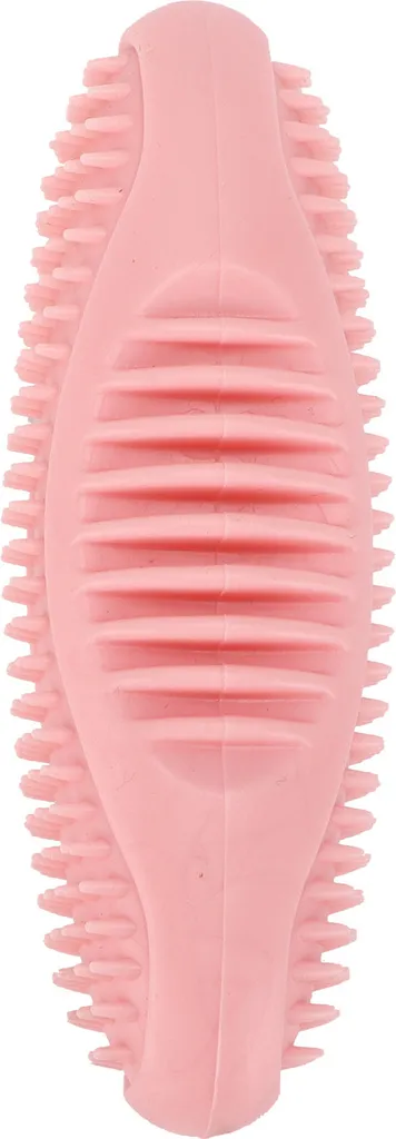 Gioco Sicuro per Cuccioli - Cetriolo di Mare Rosa per Denti e Relax