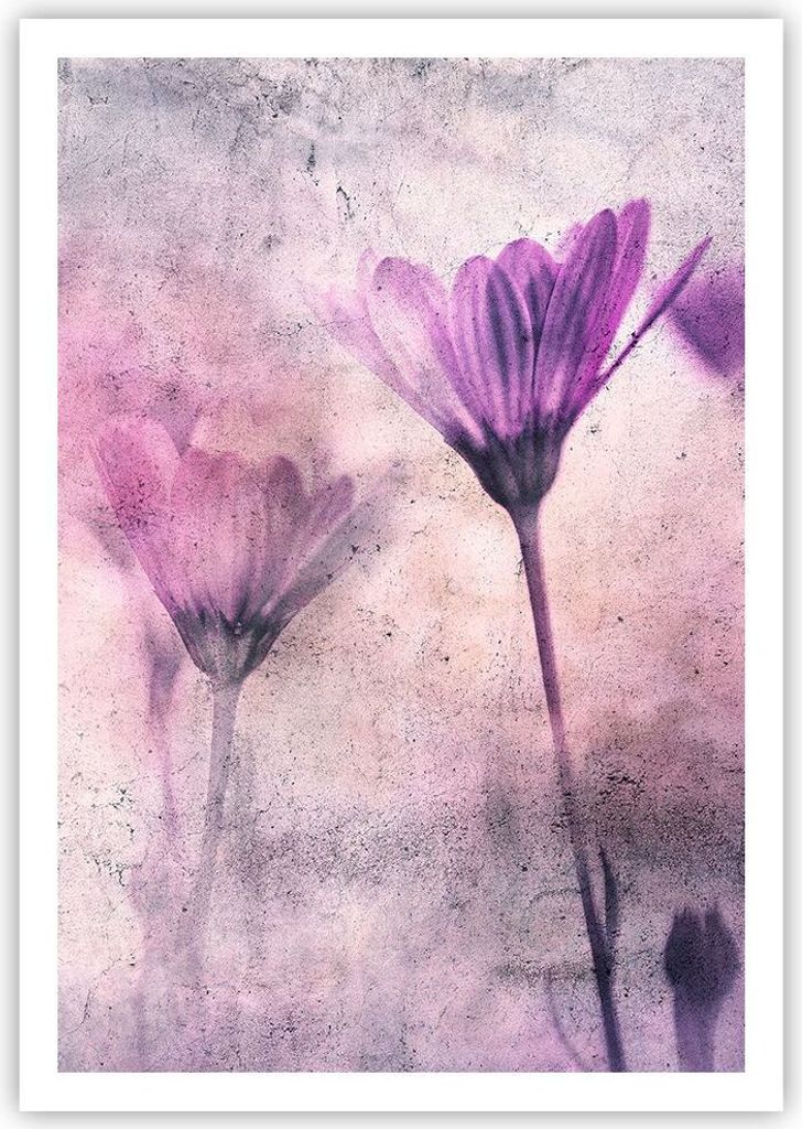 Poster - Poster ohne Rahmen - Blumen Rosa Vintage - 70x100 Produktbild 