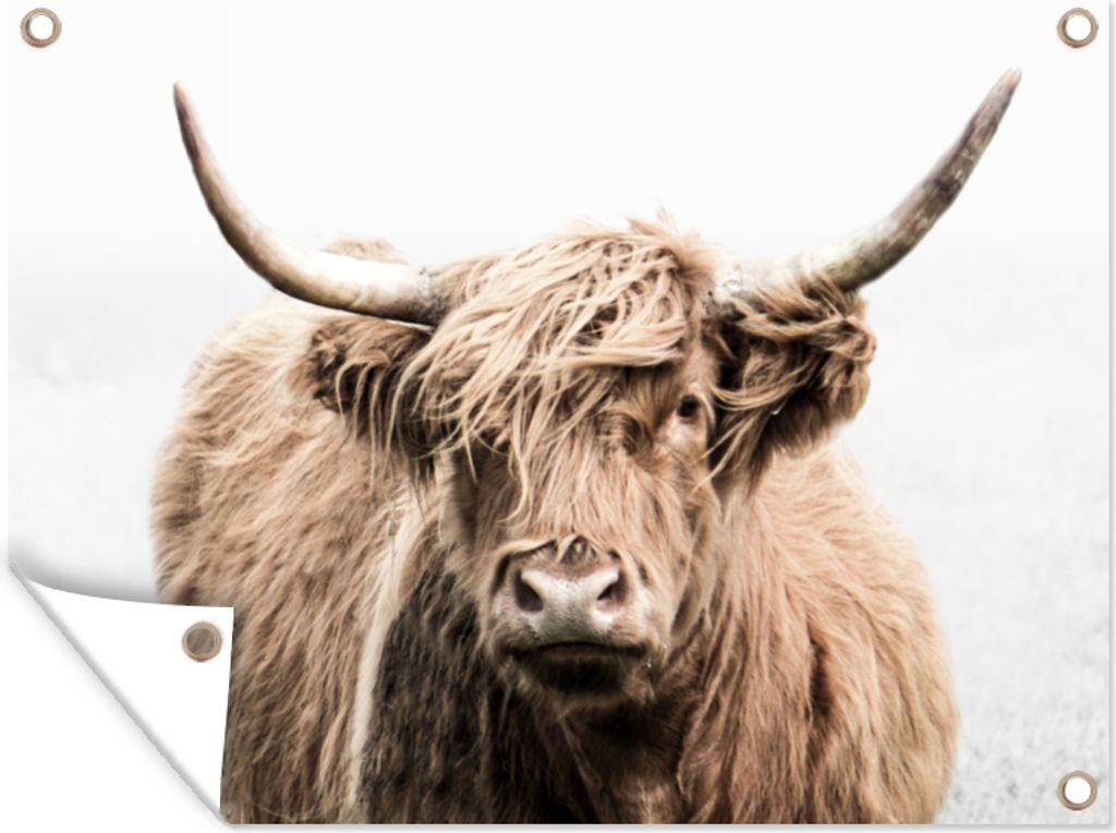MuchoWow 120x90 cm Outdoor-Poster Gartendeko Sichtschutz Garten Poster für den Garten Schottischer Highlander - Tiere - Fell
