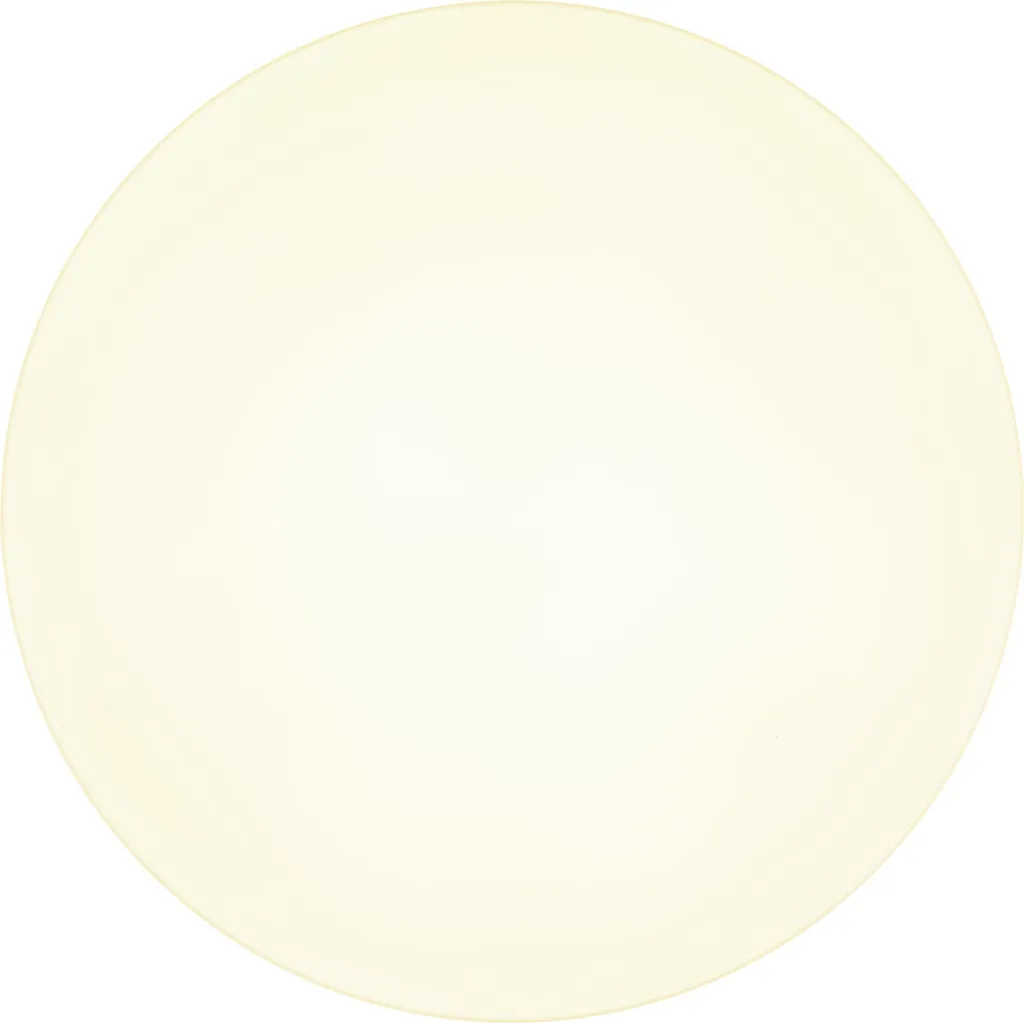 Globo Lighting Plafoniera Nera Opaca LED: Eleganza Moderna per Interni - 1
