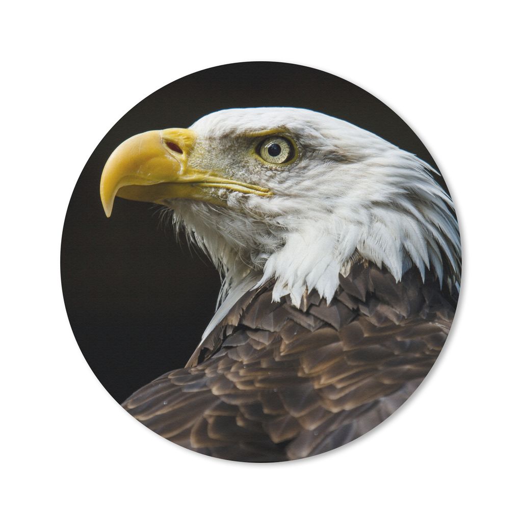 MuchoWow Mauspad Mousepad Adler - Vogel - Augen - Schnabel 40x40 cm - Mousepads - Maus Mat - Pad - Mausunterlage - Schreibtisch Accessoires