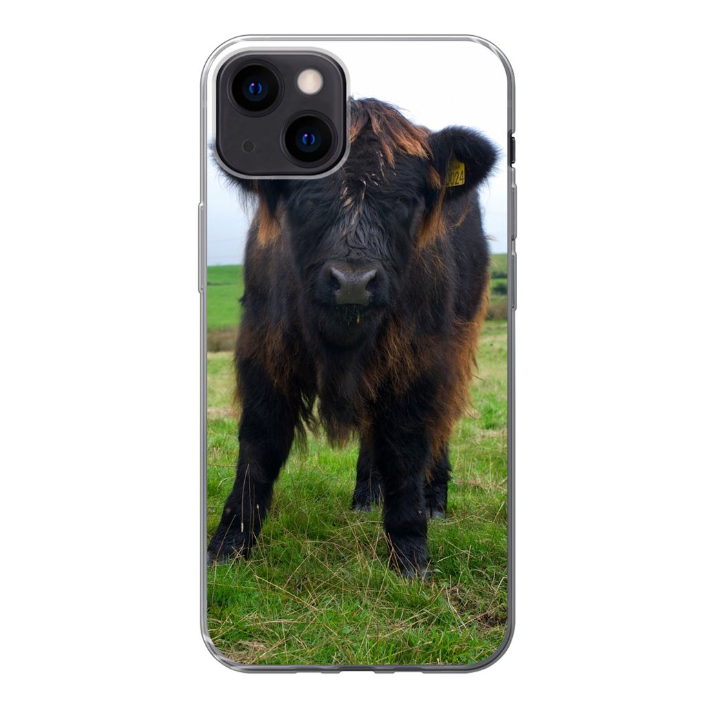 MuchoWow Handyhülle Schutzhülle Hülle für iPhone 13 Schottische Highlander - Kühe - Natur - Grün - Gras Silikon Softcase Handy Hülle - Kar...