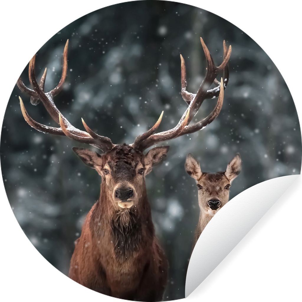 MuchoWow Runde Wandtattoo - Wandsticker Tapete Aufkleber Hirsche - Tiere - Winter - Geweih - Schnee - Natur Ø 30 cm Selbstklebend und Reposition...