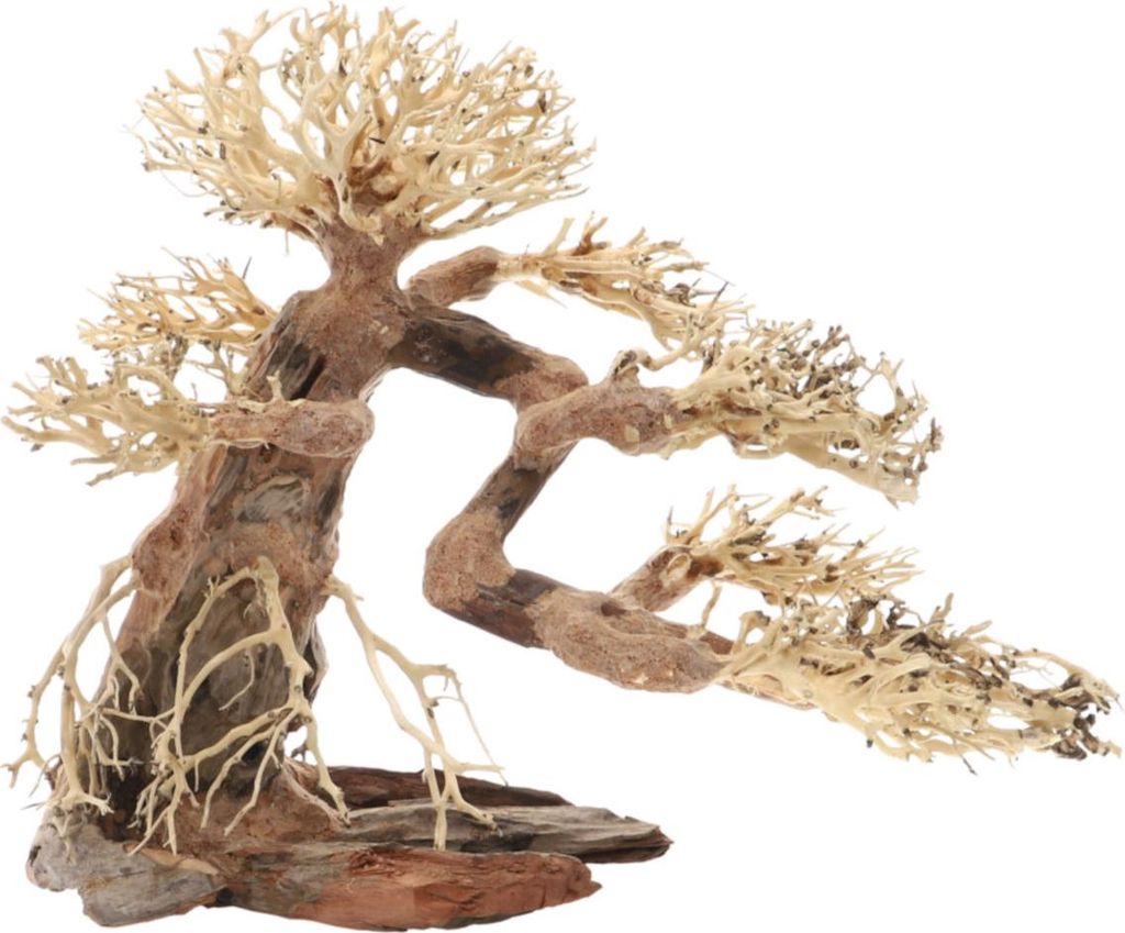 Dupla Bonsai L - handgefertigte Dekoration für Aquarien Produktbild 