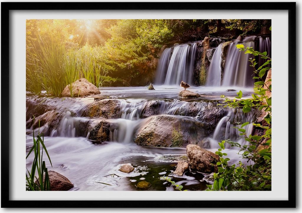 Bild - Bilder - Bilderrahmen - 70 cm x 50 cm - MDF-Rahmen, Produktbild 