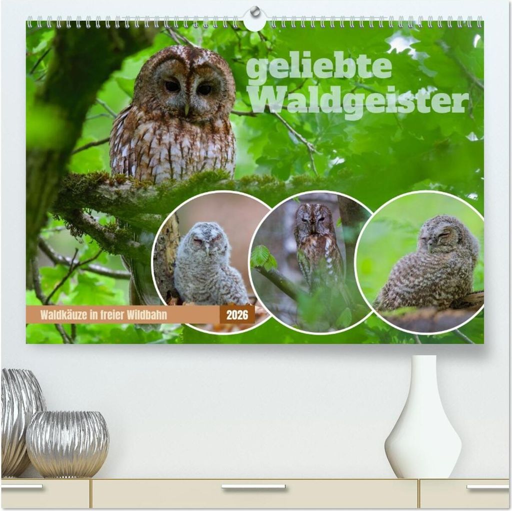 geliebte Waldgeister (hochwertiger Premium Wandkalender 2026 DIN A2 quer), Kunstdruck in Hochglanz