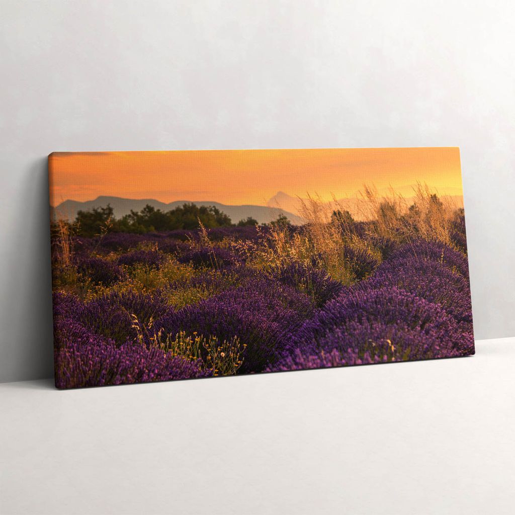 Lavendelwiese Provence Frankreich – Leinwandbild Wandbild – 100x50 cm – Leinwandbilder – Wandbilder – Schlafzimmer – Flur