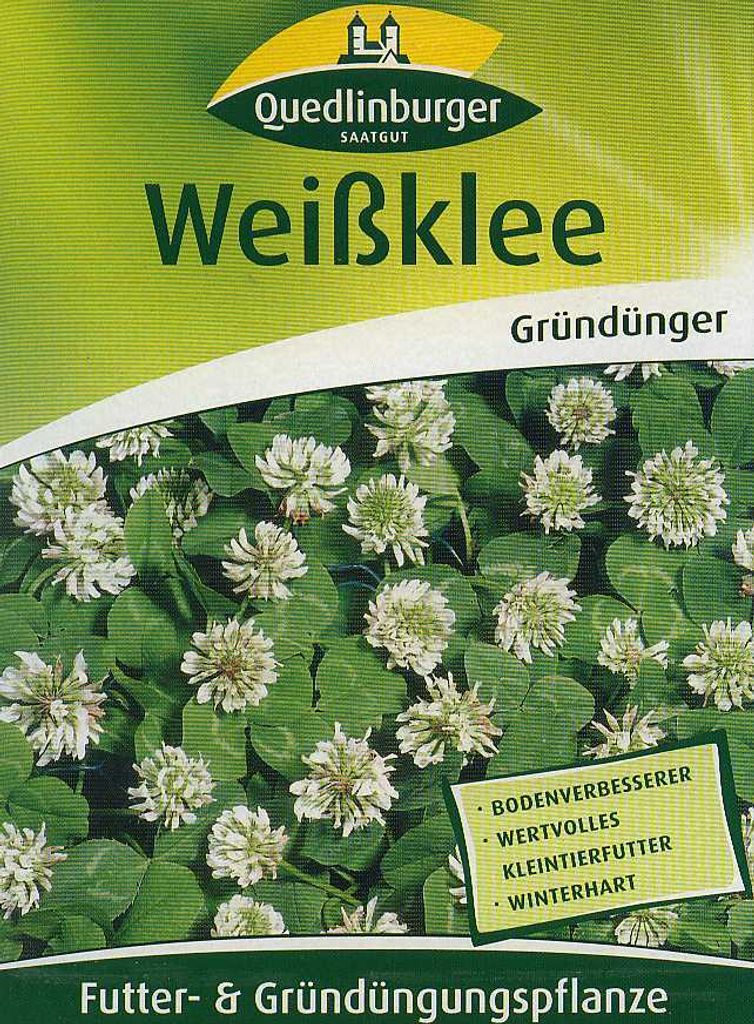 Weißklee 500 g (Gründüngerg) Produktbild 2