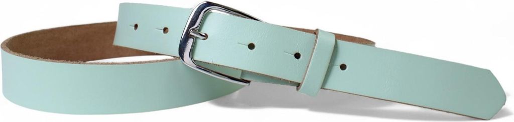 FRONHOFER Damen Ledergürtel 2,8 cm mit silber glänzenden Gürtelschnalle, echt Leder