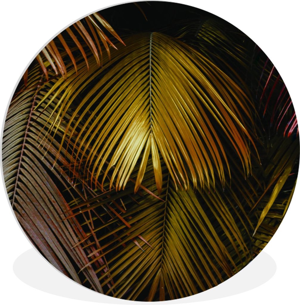 MuchoWow Rundes Wandbild - Runde Bilder Dschungel - Palme - Gold Ø 30 cm Kreis Wanddekoration Kunststoff - Wandkreis - Wandschmuck - Schlafzimme...