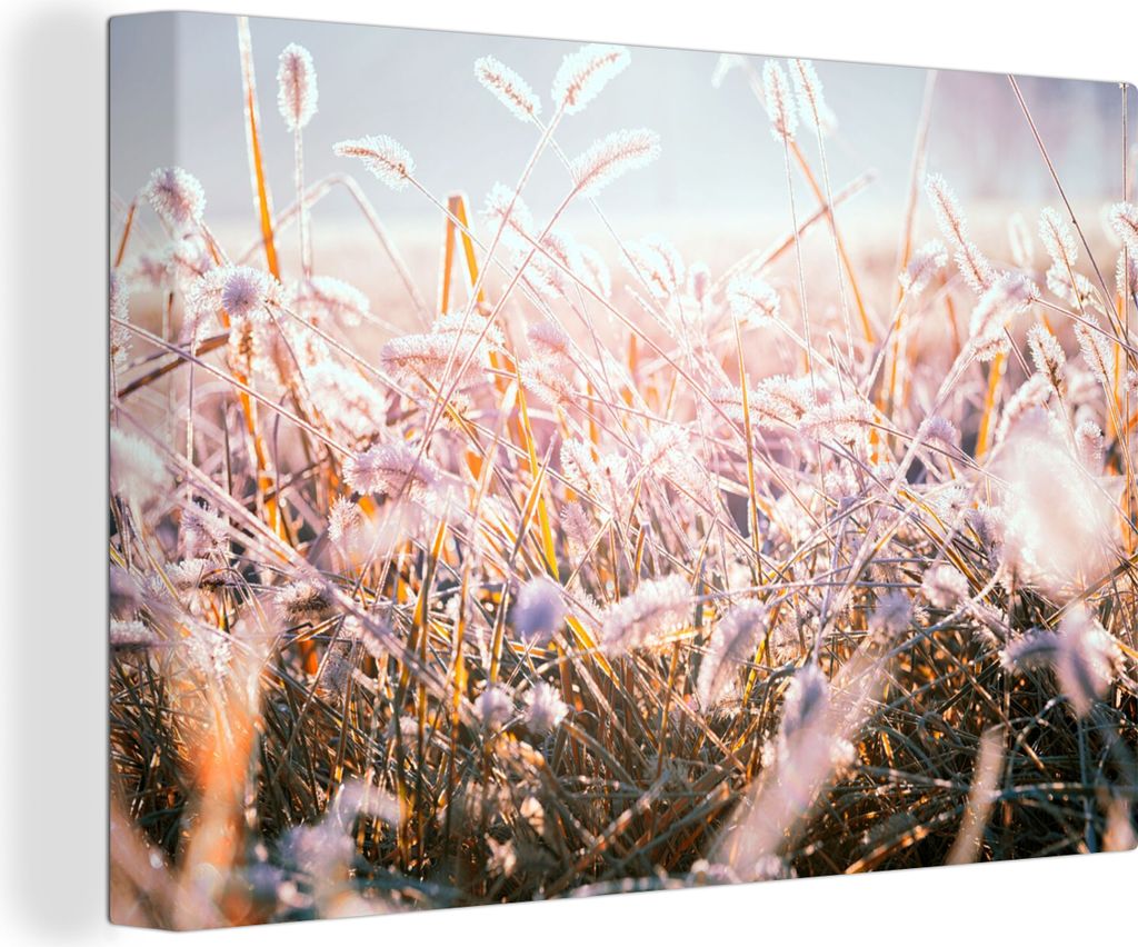 OneMillionCanvasses - Leinwandbilder - 140x90 cm, Gras - Sonne - Winter - Schnee, Wandbilder Kunstdruck Wanddekoration - Foto auf Leinwand - Gem...
