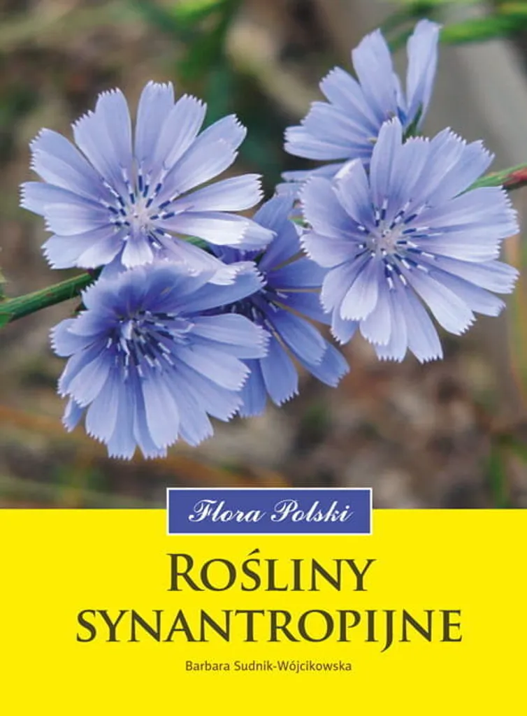 Guide Flora Polski : Plantes Synanthropiques et Biodiversité Polonaise