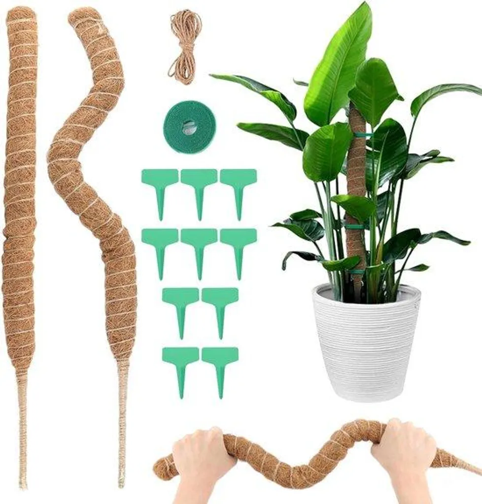 Support de croissance Monstera en coco naturelle pour plante d'intérieur