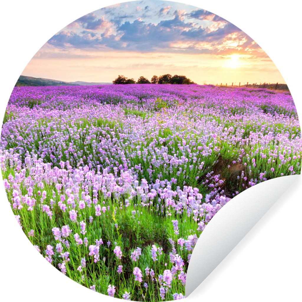 MuchoWow Runde Wandtattoo - Wandsticker Tapete Aufkleber Blumen - Lavendel - Lila - Himmel - Sonnenuntergang - Wiese - Natur Ø 80 cm Selbstklebe...