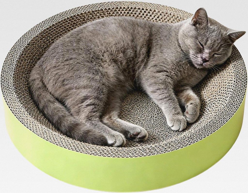 Kratzbrett für Katzen | Runde Kratztonne Als Spielzeug Für Kätzchen,Schalenförmige Katzenkratzpads | Für Den Schutz Ihrer Möbel Und Die Natü...