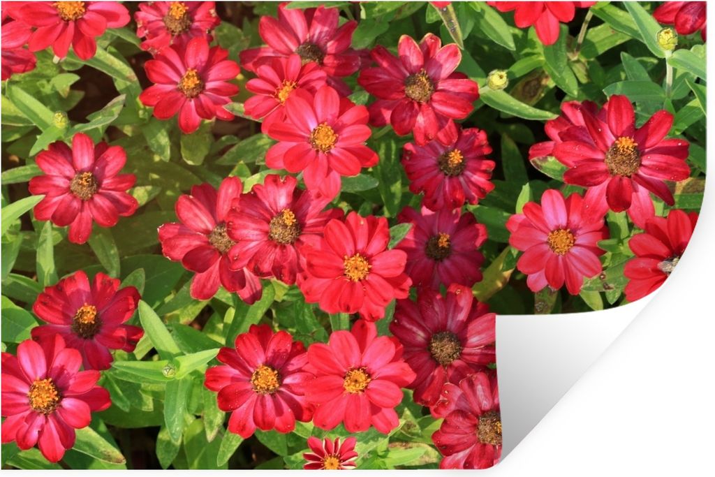 MuchoWow - Selbstklebend - Fototapeten