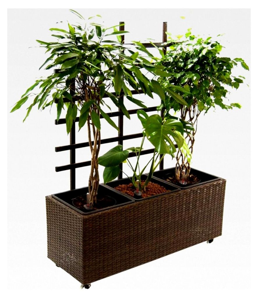 Pflanzkübel, Pflanztrog aus Polyrattan mit Rankgitter 82x30x100cm Mocca