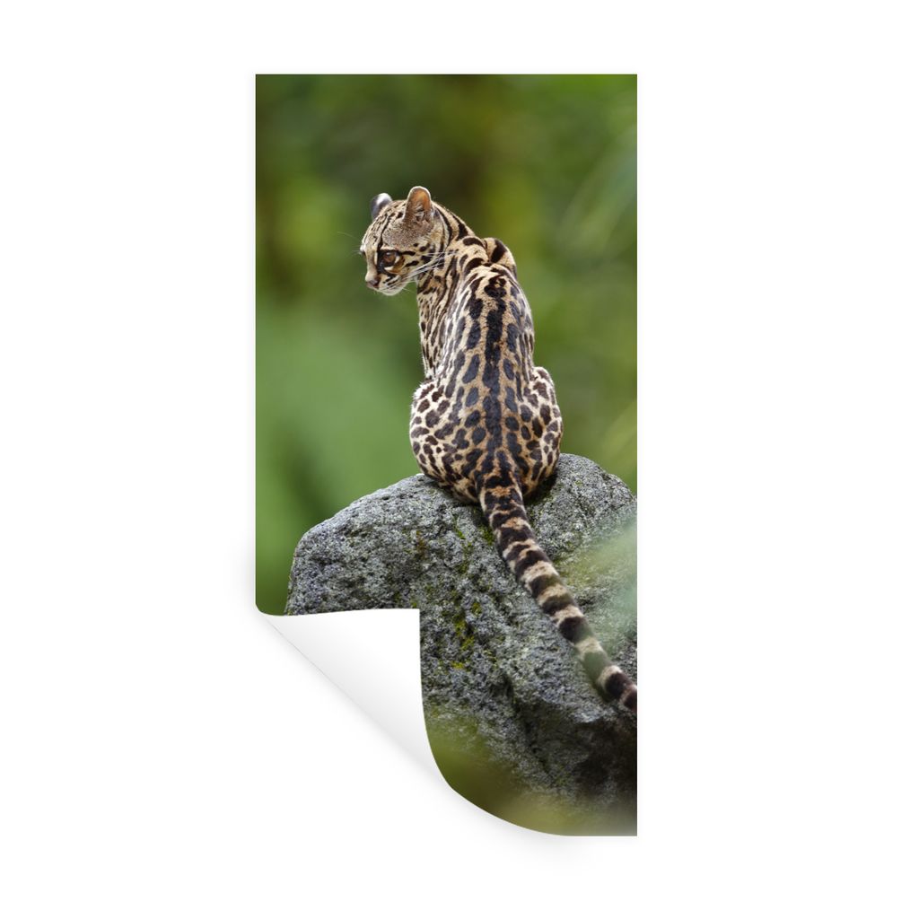 MuchoWow Wandtattoo Wandsticker Wandaufkleber Baumkatze auf Stein 60x120 cm Selbstklebend und Repositionierbar - Selbstklebend - Fototapeten