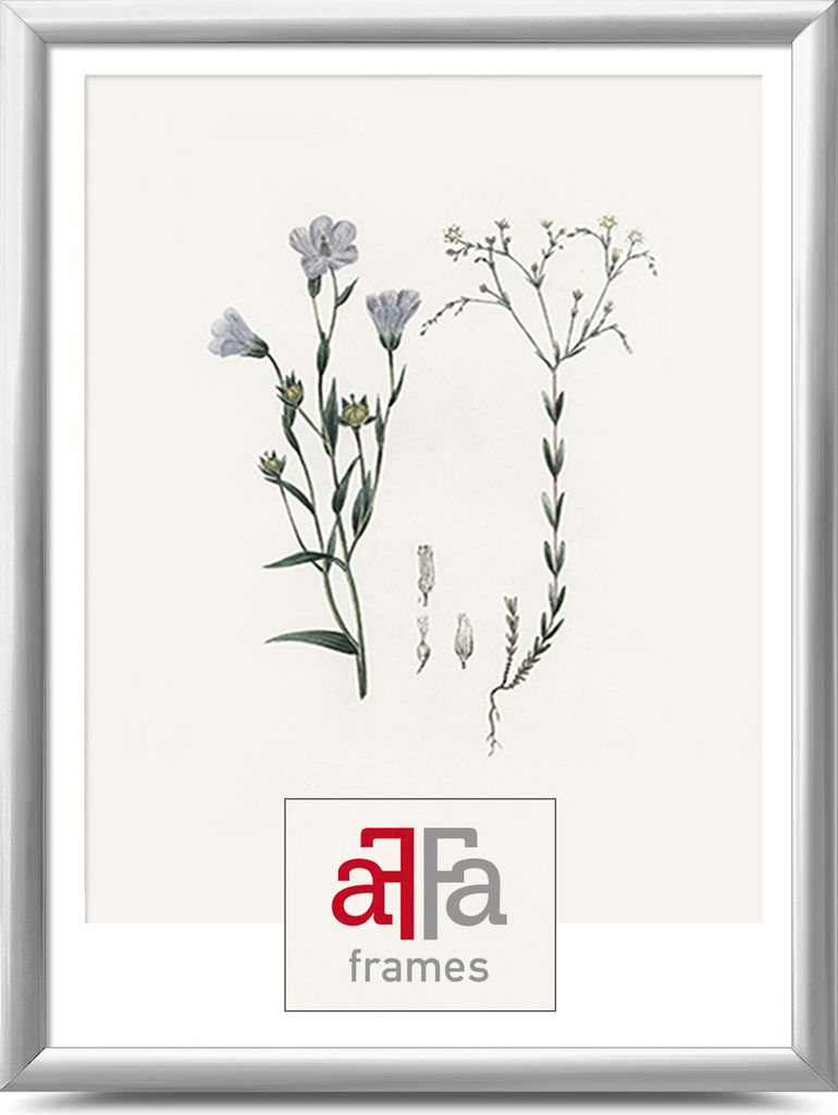 aFFa frames, Plastik Bilderrahmen, Acrylglasfront, Fotorahmen, Posterrahmen, Silber, 9x13 cm