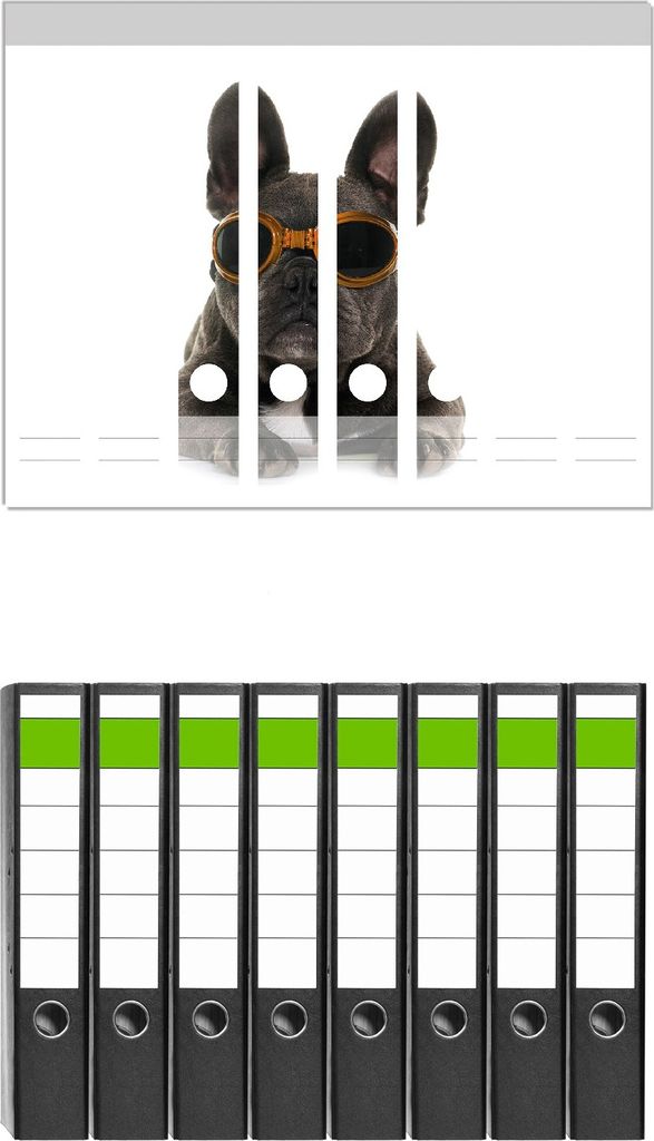 Wallario 8 Stück schmale Ordner inkl. Klebeetiketten mit Motive Cooler Hund mit Sonnenbrille in orange - Französische Bulldogge - Set mit Rücken...