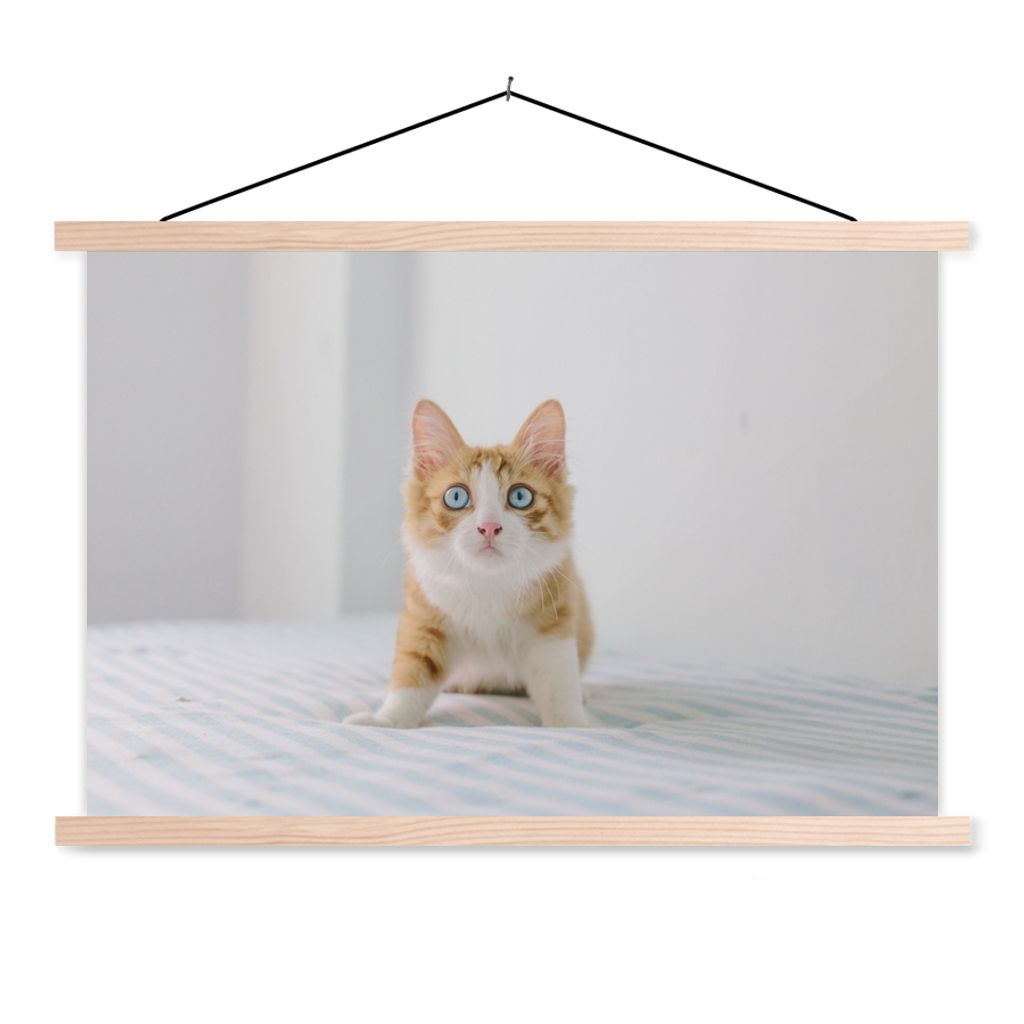 MuchoWow Textilposter Kätzchen - Blau - Orange - Mädchen - Jungen - Kind 120x80 cm mit holzfarbenen Rahmen - Aufhängeset