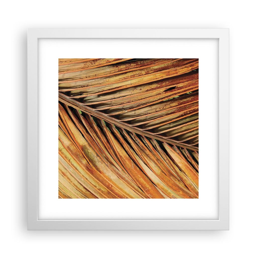Gerahmtes Poster - Weißer Rahmen - Orange Blatt Tropisch - 30x30 cm - Wand Bild - Wanddeko - Wandbilder - Kunstposter - Wandposter - Bilderrahmen ...