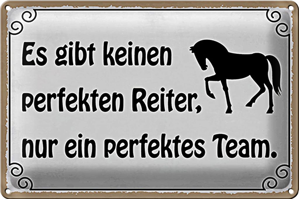 Blechschild Spruch 30x20cm es gibt keinen perfekten Reiter