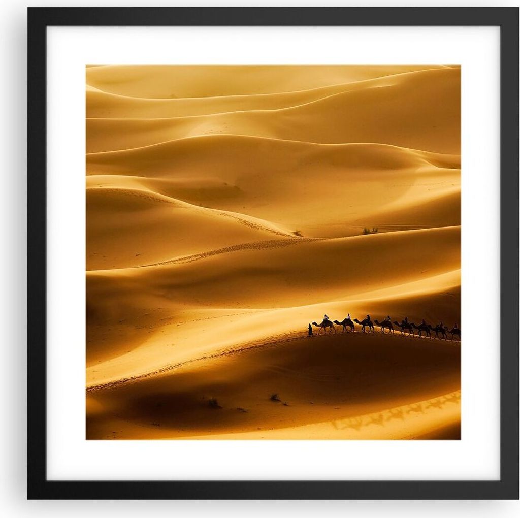 Gerahmtes Poster - Schwarzer Rahmen - Afrika Sahara Kamel Landschaft - 40x40 cm - Wand Bild - Wanddeko - Wandbilder - Wandposter - Bilderrahmen - B...