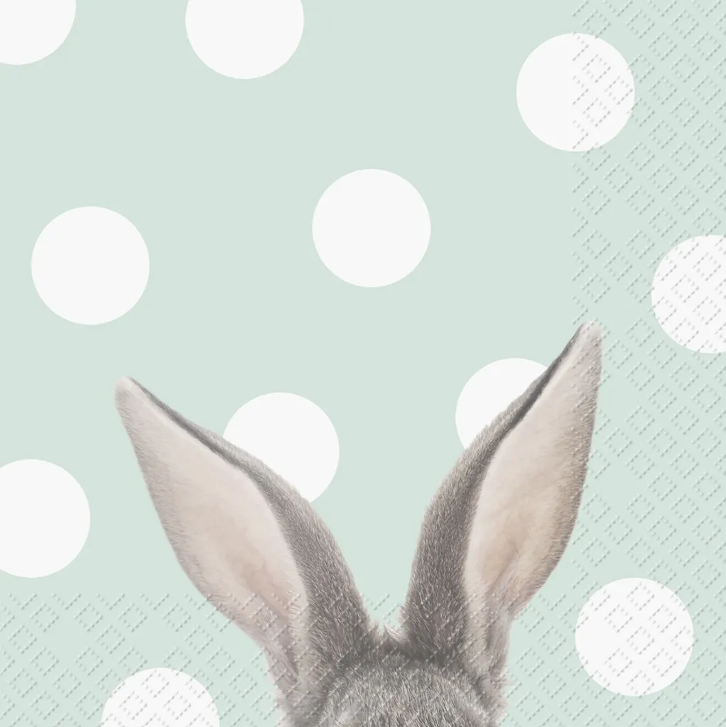 Serviettes en papier 33x33 cm Yon Mint Stewo 2572654643 Lot de 12
