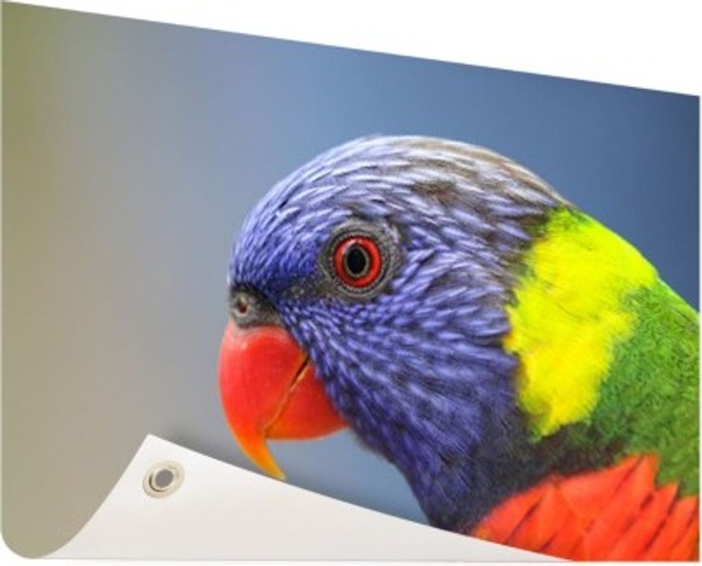 MuchoWow 120x80 cm Outdoor-Poster Gartendeko Sichtschutz Garten Poster für den Garten Regenbogen Flori