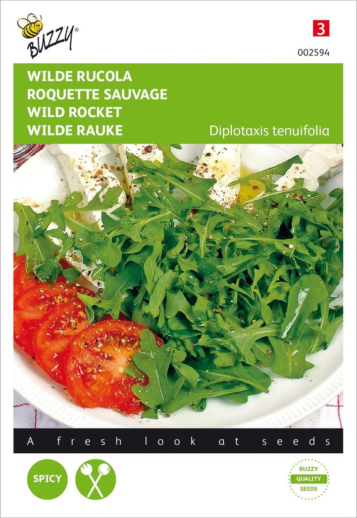 Salatrauke Wilde Selvatica | Raukesamen von Buzzy Seeds Produktbild 