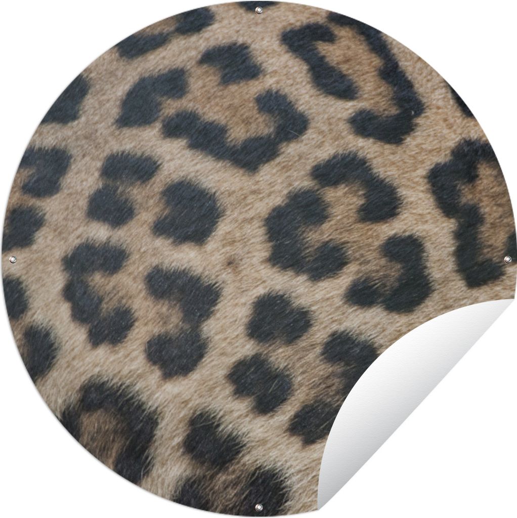 MuchoWow Gartenposter Outdoor-Poster Rund Leopardenmuster Ø 90 cm Gartendeko Rundes Poster draußen