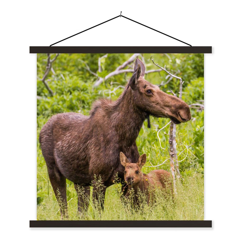 MuchoWow Textilposter Rentier - Pflanzen - Kalb 60x60 cm mit schwarzem Rahmen - Posteraufhänger