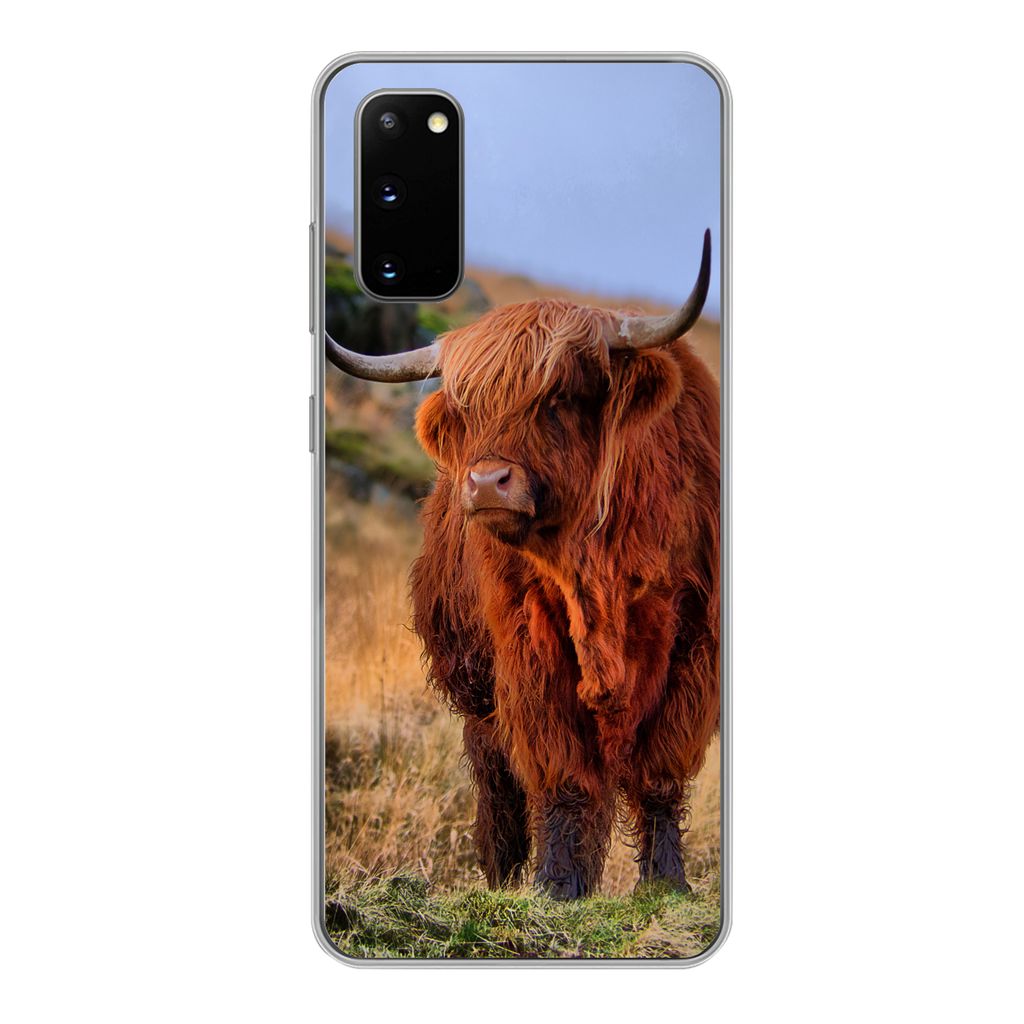 MuchoWow Handyhülle Schutzhülle Hülle für Samsung Galaxy S20 Schottische Highlander - Gras - Steine Silikon Softcase Handy Hülle - Bild