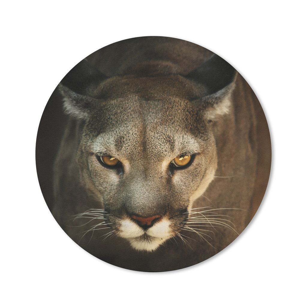 MuchoWow Mauspad Mousepad Nahaufnahme Puma 50x50 cm - Mousepads - Maus Mat - Pad - Mausunterlage - Vinyl