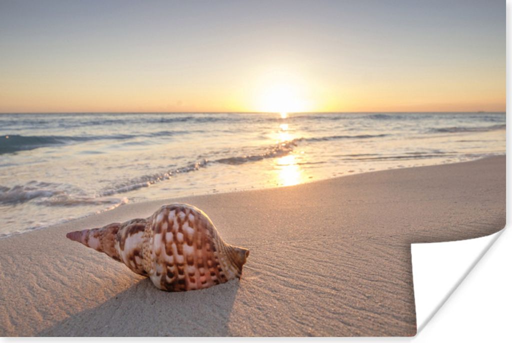 MuchoWow Poster Muschel - Strand - Himmel 90x60 cm - Schlafzimmer