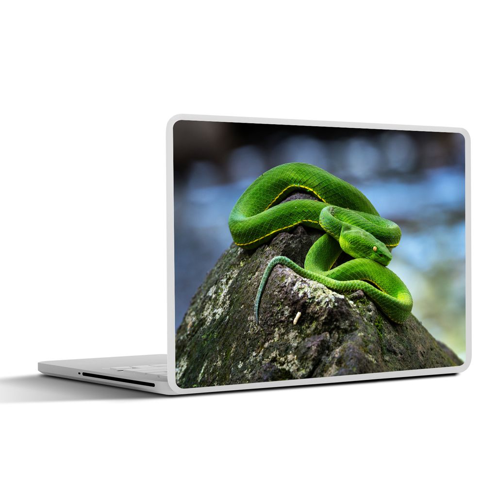 MuchoWow Laptop Aufkleber Sticker Cover Grüne Schlange auf Stein 32.5x23.5 cm - Sticker für Laptop - Selbstklebend