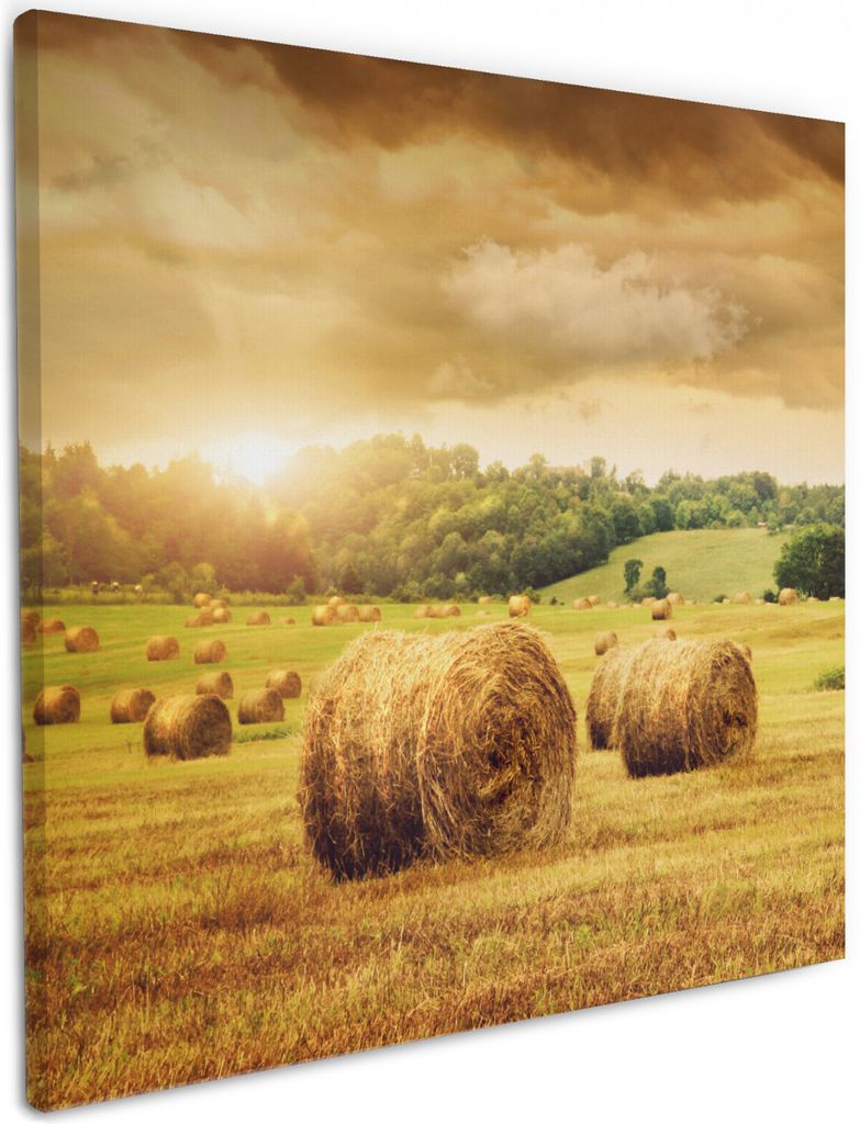 Wallario Premium Leinwandbild Strohballen auf dem Feld bei Sonnenuntergang in Größe 50 x 50 cm