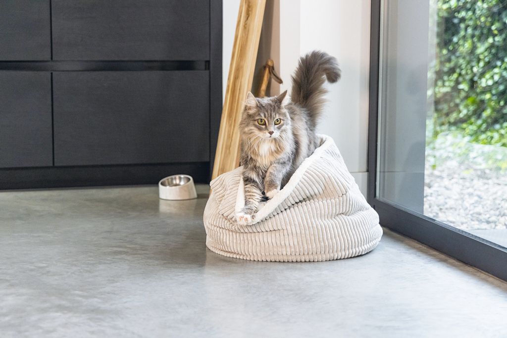 Designed By Lotte Velveti Katzenkissen - Weicher Samt In Grün 50x50cm