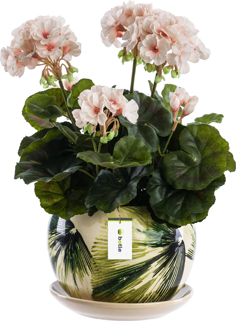 Pot de fleurs pour Géraniums et Succulentes en céramique Ø16,5 cm Crème