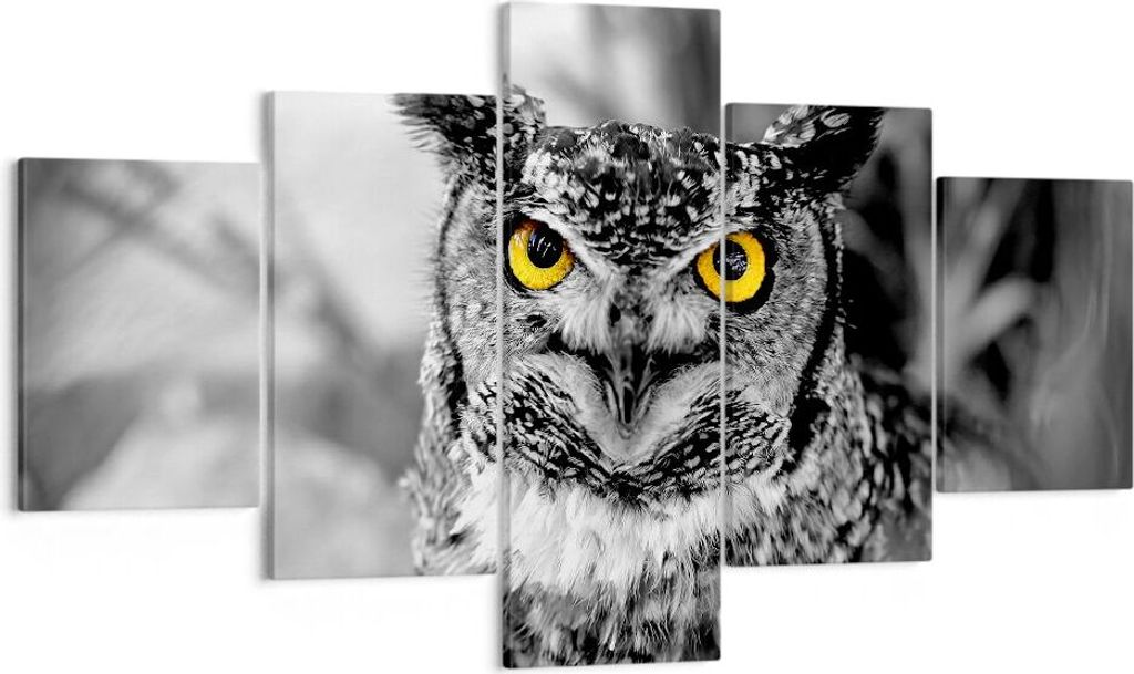 Bild auf Leinwand - Leinwandbild - Eule Vogel Natur - 125x70cm - Wand Bild - Wanddeko - Wandbilder - Leinwanddruck - Bilder - Kunstdruck - Wanddeko...
