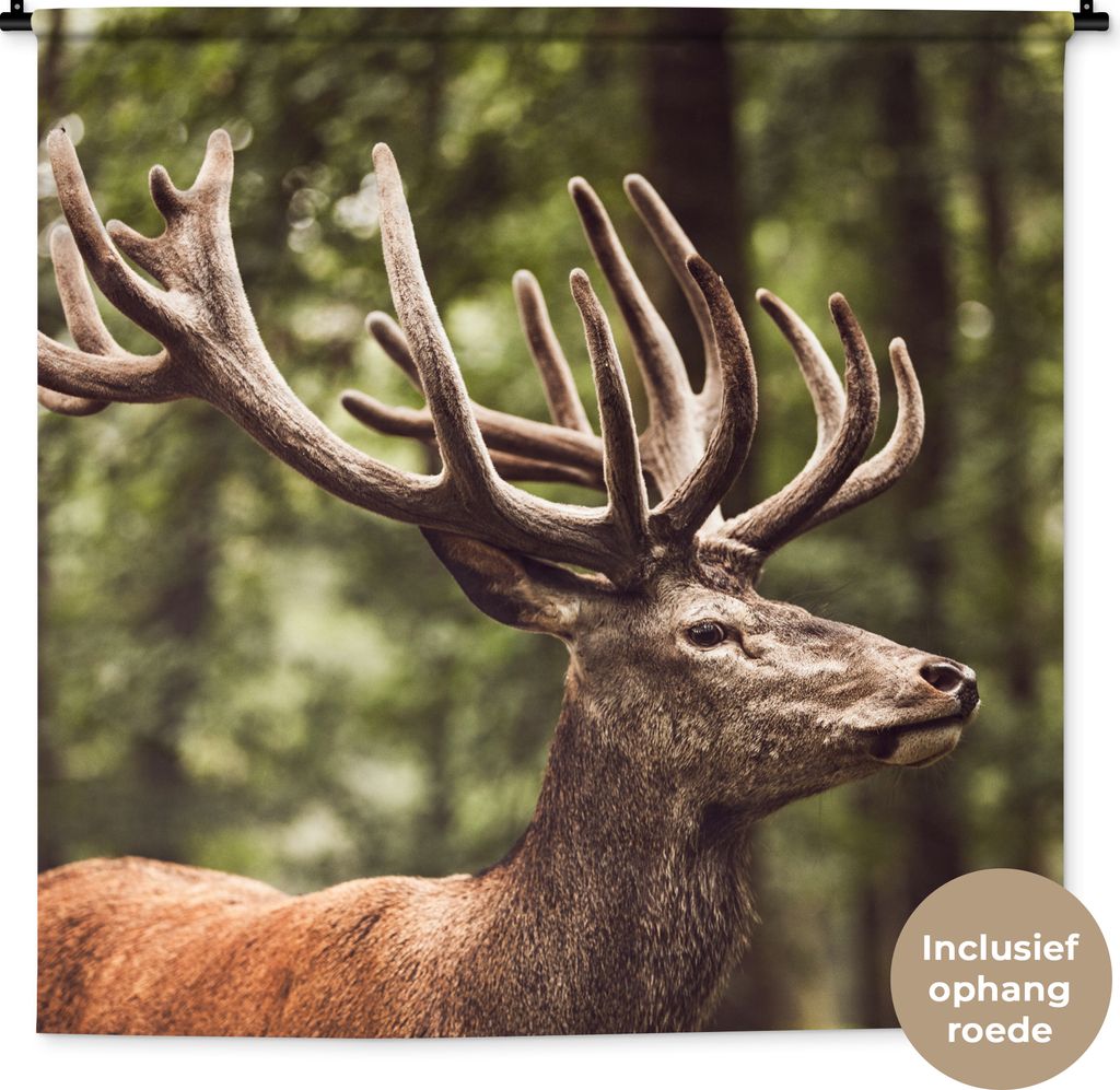 MuchoWow Wandteppich Wandbehang Hirsch - Natur - Geweih - Wald - Tiere 120x120 cm Tapisserie Dekoration Wandtuch - Modern - Baumwollgewebe