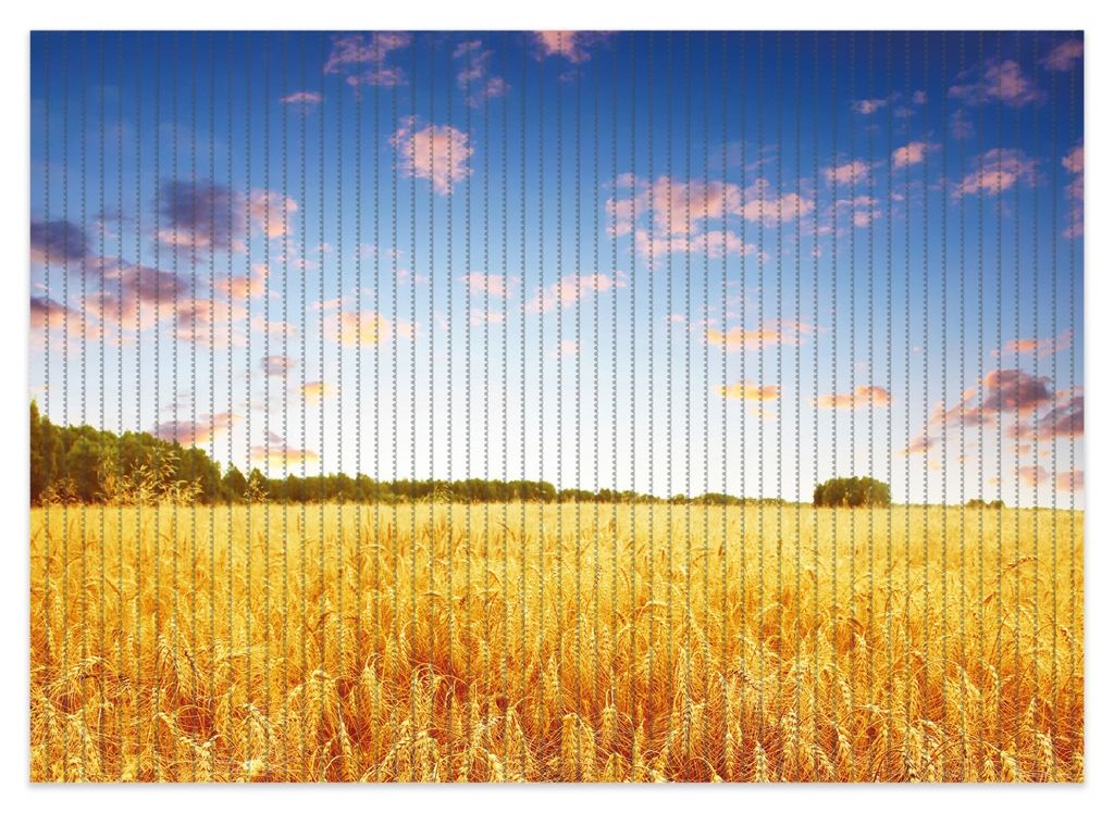 Wallario Duschmatte Antirutschmatte Badmatte Fußmatte Weizenfeld unter blauem Himmel, Größe ca. 70 x 50 cm