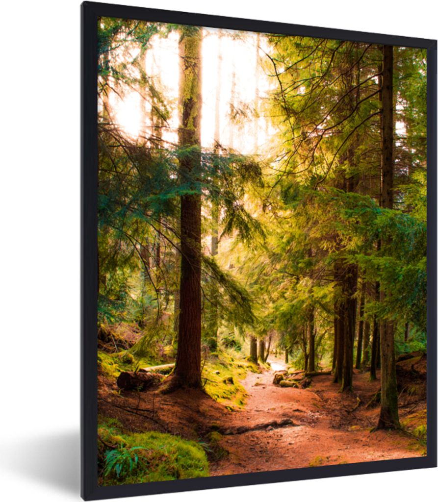 MuchoWow Gerahmtes Poster Wald - Weg - Bäume - Grün - Sonne - Natur 30x40 cm - Poster mit Schwarzem Bilderrahmen Wandposter Rahmen Foto Bilder ...