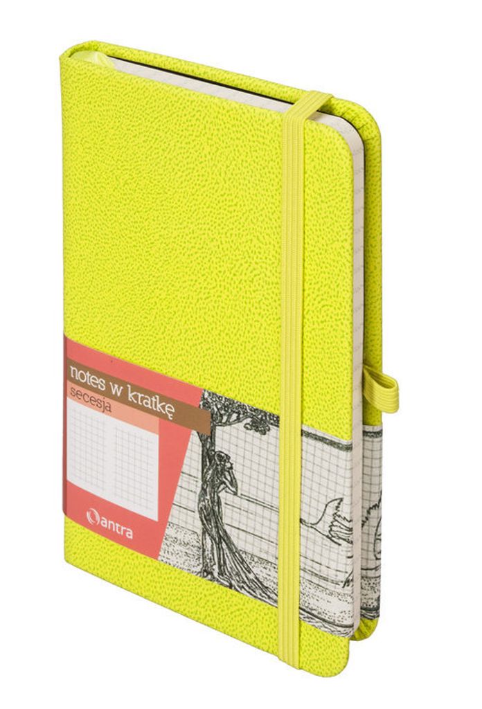 Secesja A6 Notizbuch kariert grün