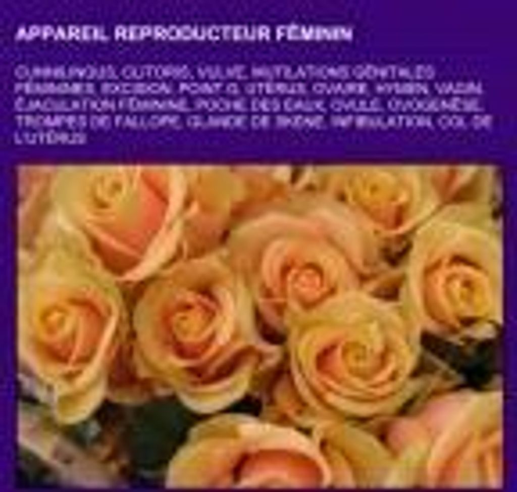 Appareil reproducteur féminin