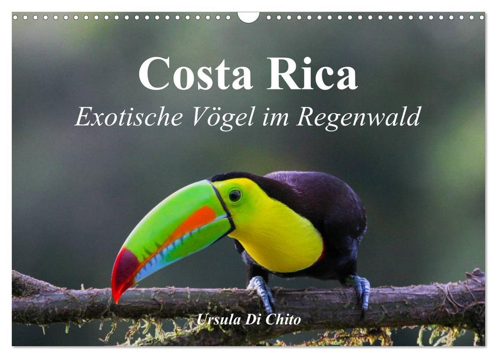 Costa Rica - Exotische Vögel im Regenwald (Wandkalender 2027 DIN A3 quer), CALVENDO Monatskalender